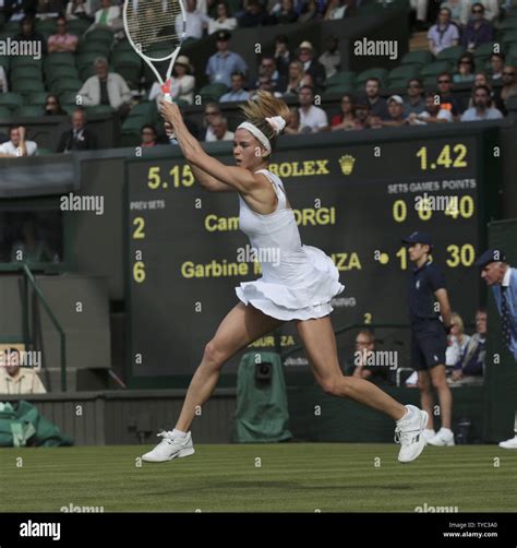 2016 Wimbledon Championships .
